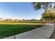 Expansive green space with a paved walking path and mature trees at 14556 W Shaw Butte Dr, Surprise, AZ 85379