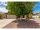 Charming single-story home with a well-maintained yard and mature shade tree at 18016 N 145Th Ave, Surprise, AZ 85374