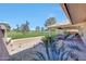 Picturesque backyard view with a covered patio overlooking a meticulously maintained lawn at 19215 N Concho Cir, Sun City, AZ 85373
