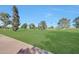 Beautifully maintained community greenspace with mature trees and lush grass at 19215 N Concho Cir, Sun City, AZ 85373