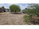 Wide shot of the backyard which has a large tree and gravel landscape at 227 N Morris --, Mesa, AZ 85201