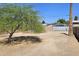 Spacious backyard with mature tree and plenty of room to design a new outdoor space at 227 N Morris --, Mesa, AZ 85201