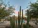 Beautiful pool surrounded by desert landscape, with cacti and gravel, creating a serene and natural retreat at 29619 N 142Nd Pl, Scottsdale, AZ 85262