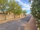 View of the street with mature landscaping along the wall and a glimpse of the home's facade at 29619 N 142Nd Pl, Scottsdale, AZ 85262