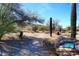 Scenic desert landscape featuring native vegetation, a desert trail, and signage at 30600 N Pima Rd # 81, Scottsdale, AZ 85266
