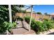Charming backyard garden with a wood pergola, gravel pathway, lush foliage, and a brick border at 3284 E Sandy Way, Gilbert, AZ 85297