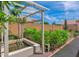 Lush backyard with decorative white trellis and mature landscaping at 3284 E Sandy Way, Gilbert, AZ 85297