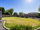 Well-maintained backyard with a grassy lawn, mature trees, and decorative rock border, offering a private outdoor space at 34942 N Camp Fire Cir, San Tan Valley, AZ 85144