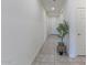Hallway view with tiled flooring and decoratively potted tree leading to a white front door at 4150 S Neutron --, Mesa, AZ 85212