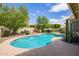 Backyard pool with mature landscaping and patio area, perfect for outdoor relaxation and entertaining at 4584 W Detroit St, Chandler, AZ 85226