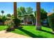 Charming backyard oasis with mature trees, manicured lawn, covered patio, and inviting atmosphere at 512 W Roma Ave, Phoenix, AZ 85013