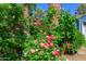 Lush garden landscape featuring vibrant red roses, greenery, and a charming exterior at 512 W Roma Ave, Phoenix, AZ 85013