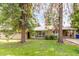 Charming single-story home with a well-maintained lawn and mature trees enhancing its curb appeal at 523 W 14Th St, Tempe, AZ 85281