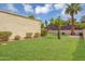 Lush green backyard with manicured lawn, mature trees, and privacy hedges at 6011 N 2Nd St, Phoenix, AZ 85012