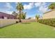 Large backyard featuring a well-kept lawn, a tall palm tree, and privacy walls at 6011 N 2Nd St, Phoenix, AZ 85012