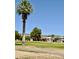 Distant view of single-story homes and desert mountains framed by a tall palm tree at 650 N Hawes Rd # 2827, Mesa, AZ 85207