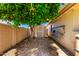Private backyard with a mature citrus tree, storage shed, and space for gardening or outdoor activities at 6533 E Kelton Ln, Scottsdale, AZ 85254