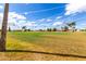 Expansive green community field featuring mature trees under a partly cloudy sky at 7302 E Baseline Rd, Mesa, AZ 85209