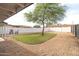 Spacious backyard featuring a grassy area, gravel, a mature tree, and white brick walls at 7802 E Kimsey Ln, Scottsdale, AZ 85257