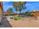 Spacious backyard features lawn area with raised garden beds, perfect for gardening and outdoor relaxation at 1308 E Rosemonte Dr, Phoenix, AZ 85024