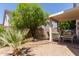 Backyard with patio area, desert landscaping, privacy walls, and mature shade tree at 16036 N 11Th Ave # 1086, Phoenix, AZ 85023