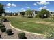 Well-maintained green space surrounded by homes on a sunny day with blue skies at 1718 S 82Nd Way, Mesa, AZ 85209