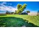 Expansive backyard with lush lawn, mature tree, shed, and covered patio perfect for outdoor enjoyment at 20042 W Dunlap Rd, Buckeye, AZ 85326