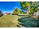 Large grassy backyard features mature trees, storage sheds, offering plenty of space for outdoor activities at 20042 W Dunlap Rd, Buckeye, AZ 85326