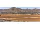 A Primary planned community with farmland in the foreground has views of a mountain range in the distance at 22491 E Mewes Rd, Queen Creek, AZ 85142