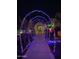 Festive holiday light display arches over a sidewalk, creating a magical and welcoming pathway at night at 22491 E Mewes Rd, Queen Creek, AZ 85142