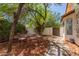 Outdoor patio area shaded by mature trees, providing a serene space for relaxation and dining at 2630 E Dolphin Ave, Mesa, AZ 85204