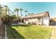 Spacious backyard featuring lush green grass, palm trees, a custom pool, and covered patio at 341 E Constitution Dr, Gilbert, AZ 85296