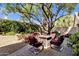 Backyard featuring a fire pit with chairs surrounded by lush greenery and a large tree at 4720 E Bighorn Ave, Phoenix, AZ 85044