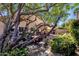 The landscaped backyard features a covered patio, a dining area, and mature trees at 4720 E Bighorn Ave, Phoenix, AZ 85044