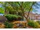Desert landscaping featuring a mature tree, rocks, and mulch at 4834 E Robin Ln, Phoenix, AZ 85054