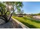 A green space in the community park with a lawn and walking paths for the residents to enjoy at 5443 W Hobby Horse Dr, Phoenix, AZ 85083