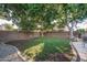 Spacious backyard with lush green grass, mature trees, and privacy walls at 6172 W Kerry Ln, Glendale, AZ 85308