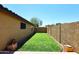 Well-maintained backyard with vibrant green lawn, offering a relaxing and private outdoor space at 10628 W Country Club Trl, Peoria, AZ 85383