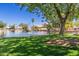 Water view showcases the lush green lawns, tranquil waters, and mature landscaping, offering a serene escape at 1350 E Vaughn Ave, Gilbert, AZ 85234