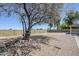 Large backyard with a mature tree, gravel, and block wall at 2338 E Folley St, Chandler, AZ 85225