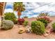 Landscaped backyard with desert plants, rock features and charming statue enhancing the outdoor space at 2926 N 149Th Dr, Goodyear, AZ 85395