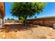 View of the gravel backyard with a large shade tree and a tall, decorative brick fence at 5055 E Enid Ave, Mesa, AZ 85206