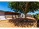 This backyard features a mature shade tree, a gravel ground cover, and a privacy screen at 5055 E Enid Ave, Mesa, AZ 85206