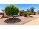 Charming single-story home with well-maintained desert landscaping and mature shade trees in the front yard at 5055 E Enid Ave, Mesa, AZ 85206
