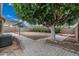 View of the backyard featuring a large tree and stone paver walkway at 705 W Country Estates Ave, Gilbert, AZ 85233