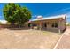 Spacious backyard with covered patio, large tree, and plenty of space for outdoor activities at 705 W Country Estates Ave, Gilbert, AZ 85233