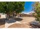 Large backyard with a mature shade tree, brick pavers, and blooming oleander at 705 W Country Estates Ave, Gilbert, AZ 85233
