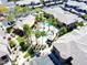 An aerial view of the complex with mature palm trees surrounding the pool area at 15550 S 5Th Ave # 130, Phoenix, AZ 85045