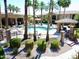 A refreshing community pool surrounded by palm trees and lounging furniture at 15550 S 5Th Ave # 130, Phoenix, AZ 85045