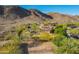 Aerial shot showcases a desert property with mature landscaping and mountain views at 16716 S 32Nd Ln, Phoenix, AZ 85045